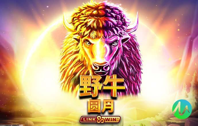 全球多语言社交互动